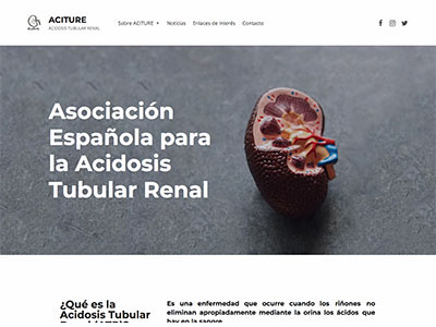 Website Aciture