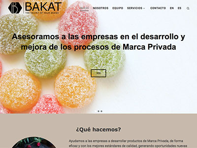 Website BAKAT Consulting