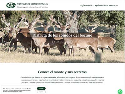 Website Monteverde Gestión Natural