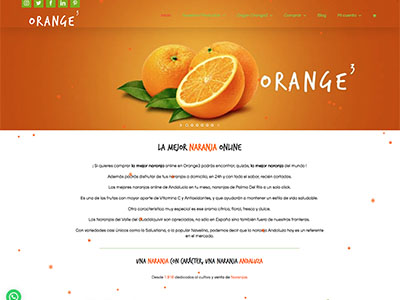 Website Orange3