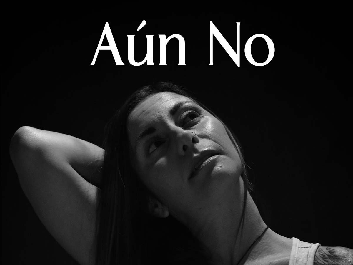 Aún no ebook