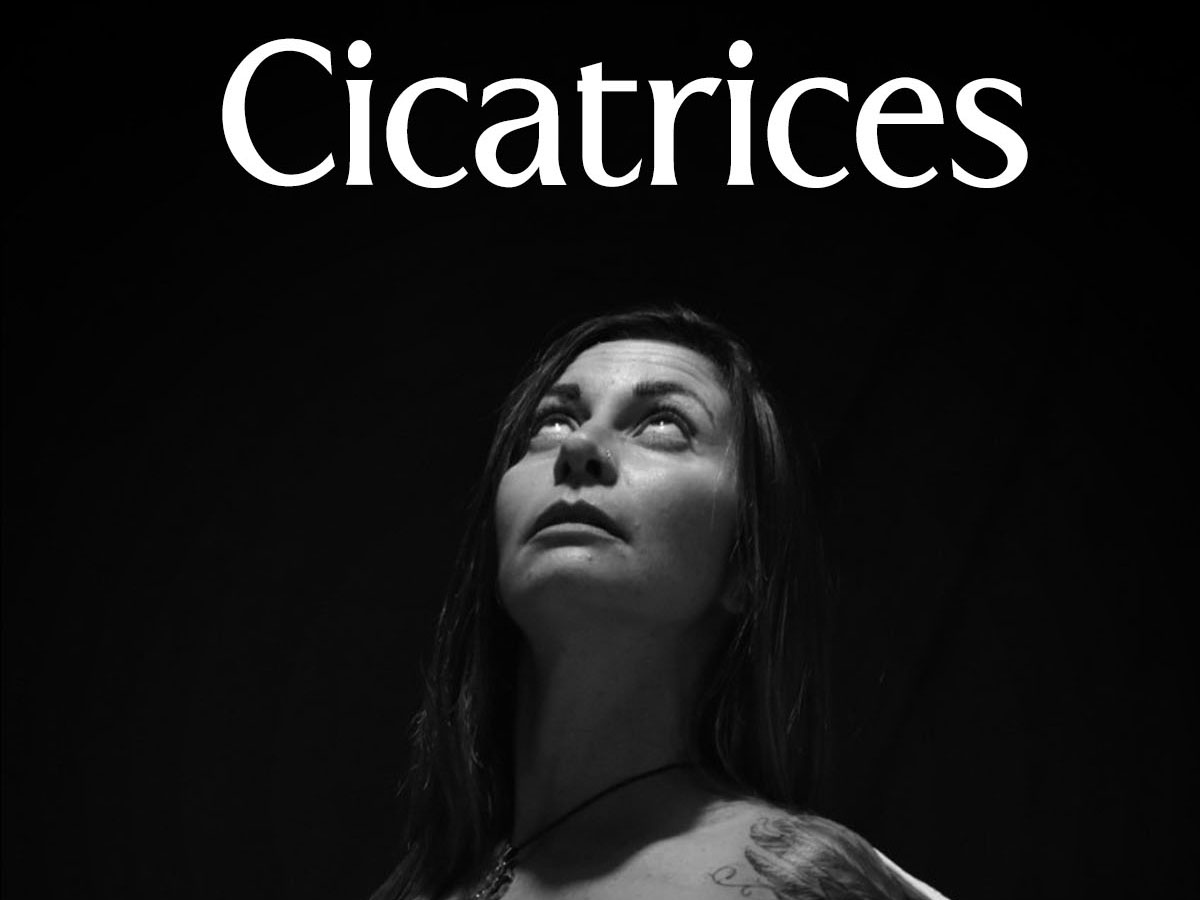 Cicatrices libro