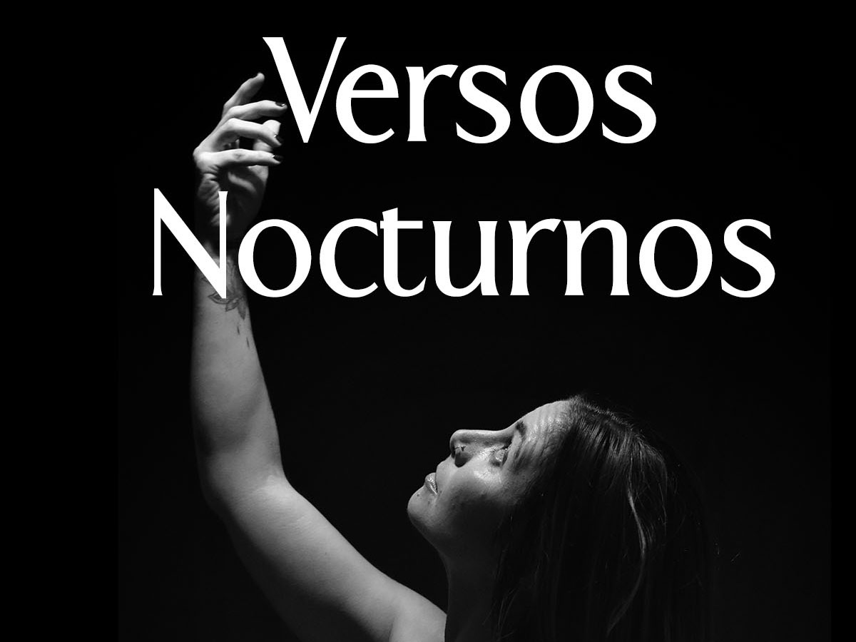 Versos nocturnos ebook