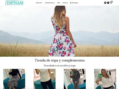 Website TOPTEAM